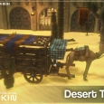 Desert Town